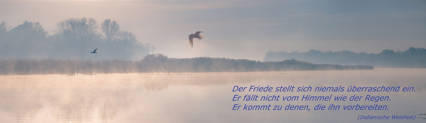 Vogel fliegt ber den See